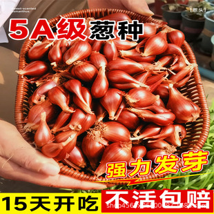 �t�[�^�N�����ڏV�|�Ĵ��t�[�^�ļ�С���[�N�^�[�N�ѱ��ػ��[���l