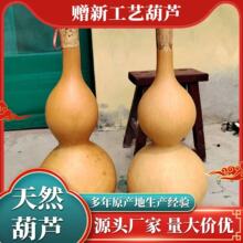 �S���N����Ȼ����J�ҾӺ��J�[�� ������J�T���T���J�[�����l