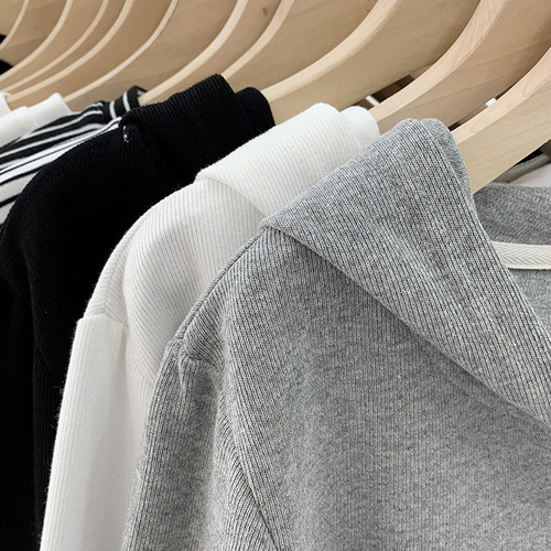 Designers' Double-Zip Grey Long-Sleeve Women's Sweatshirt Spring Autumn Hooded Sweatshirt Stylish and Slimming Short-Sleeve Top