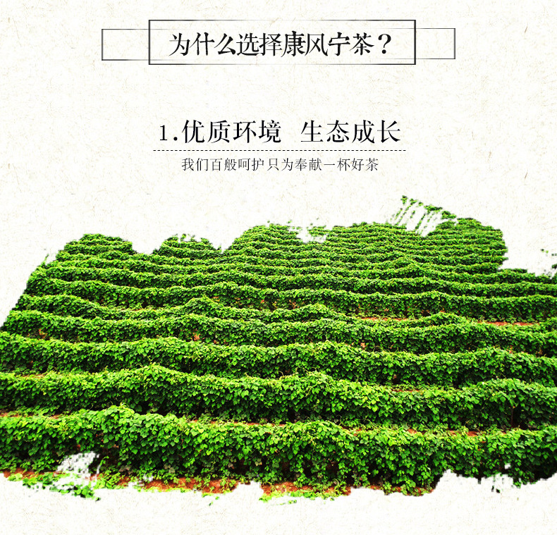 康风宁茶修改_05.jpg