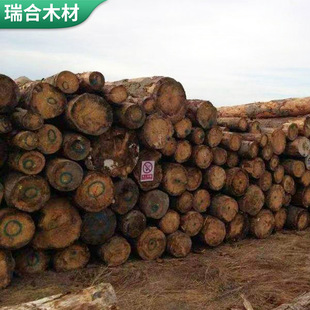 Wholesale imported wooden square log engineering building wooden square various specifications size pine wooden square support template wooden strip