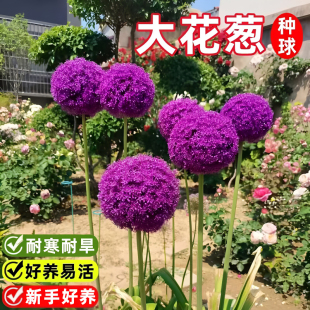 ���[�N����m�M���ͺ���������ֲ��ͥԺ���Դ��[������ļ��׻�