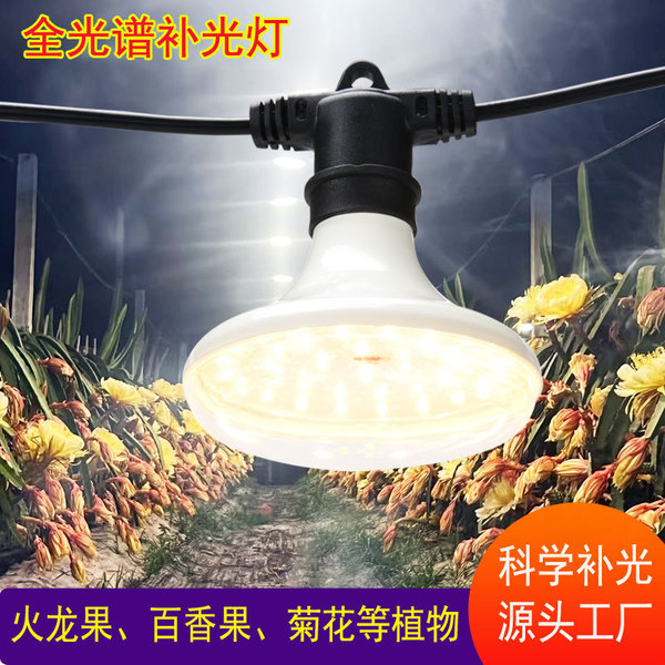 LED plant lamp