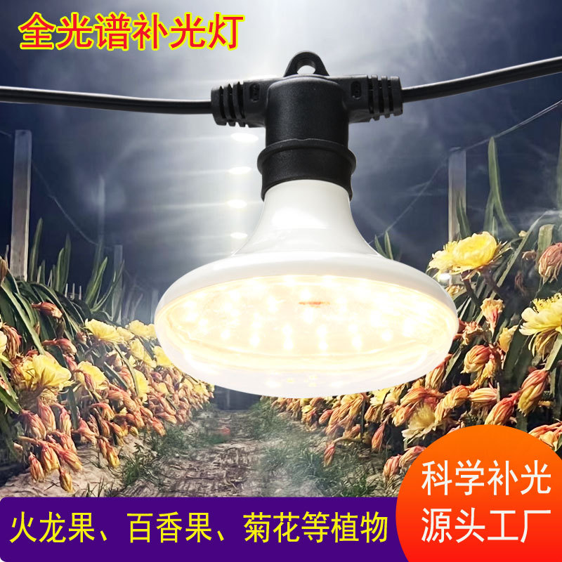 LED plant lamp