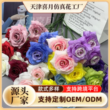�羳3�^�pɫõ�����õ�廨��Y��������·�������廨���������b