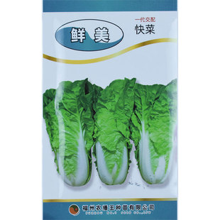 �r�����r��/������˷N�ӷN��С�ײ����ļ�С�ײ˷N�����߲˲���