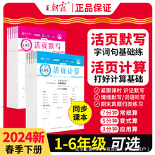 2024春王朝霞活页默写计算一二三四五六年级下语文数学专项练习册