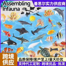 跨境拼装海洋动物模型仿真儿童益智拆装鲨鱼玩具海豚鲸鱼海洋生物