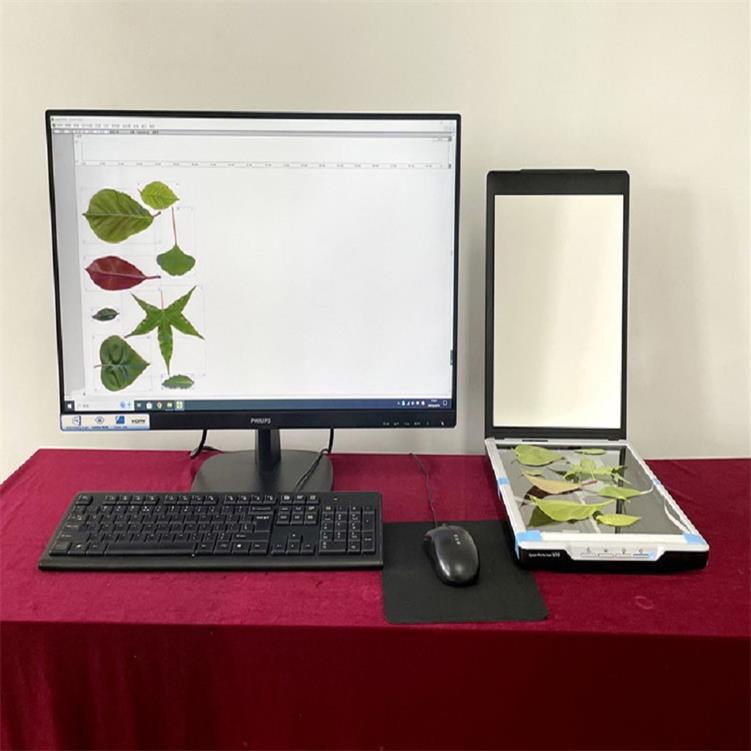 叶片图像分析仪（不含电脑） 型号:G23-FS-leaf1000 库号M361016