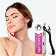 美容微針滾輪 Derma Roller微針滾針鬍鬚生發導入儀540微針滾輪