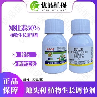 �����^��50%�������޻��{�����L��Ʒֲ�����L�{�����������l