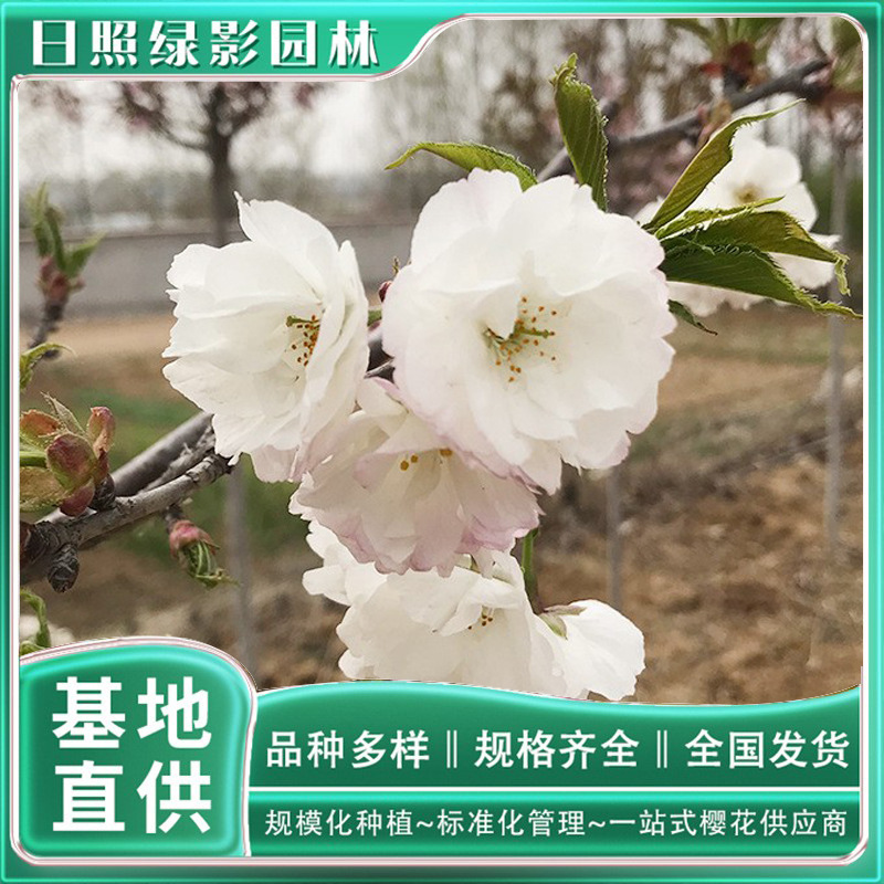 12082678954_1004685042 副本.jpg