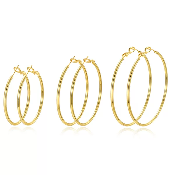 Cross-border European and American 2024 New Explosions Light Luxury High-end Ear Ring Fashion Design Cold Wind Earrings