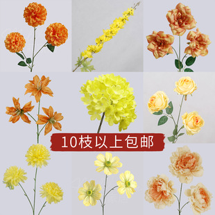 �Sɫ��ɫ��ɫ���滨ĵ������õ���w��͏d�廨��c�������컨�ٻ�