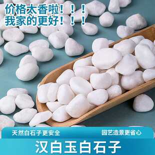 50���ɫʯ�^ʯ�Ӵ��Z��ʯͥԺ䁵ػ��@�쾰�b��~������С��ʯ��