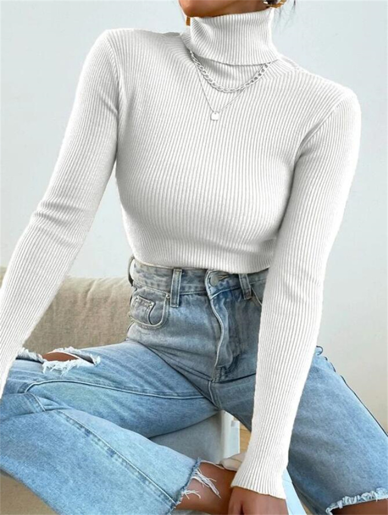 Women's Sweater Long Sleeve Sweaters & Cardigans Knitted Simple Style Solid Color display picture 1