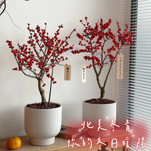 �M�ڱ����������Ԙ����ͺ������������r�������t���辰�Ϙ����l