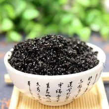 黑蚂蚁干 长白山野山蚁拟黑多刺蚁养生泡酒料大蚁酸黑蚂蚁粉真货