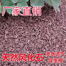 ���l���l3��8�����L��ʯ�w���L������������Ǥ���������������Gֲ