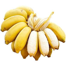 广西小米蕉香蕉苹果蕉芭蕉粉蕉甜糯新鲜应季水果批发