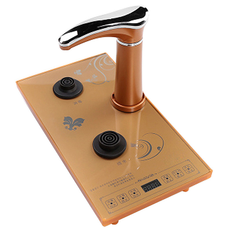 20*37cm 황금 완전 자동 호스트