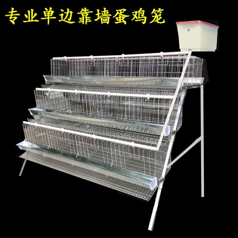 加粗鸡笼单层双层蛋鸡笼子养殖场鸡笼养殖笼三层家用自动滚蛋鸡笼