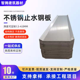 止水钢板3mm300/400工地用建筑工程地下室防水国标镀锌预埋止水带