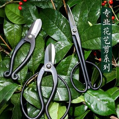 不鏽鋼池坊剪花剪花藝師專用插花剪刀工具家用園藝剪花修枝 刻字