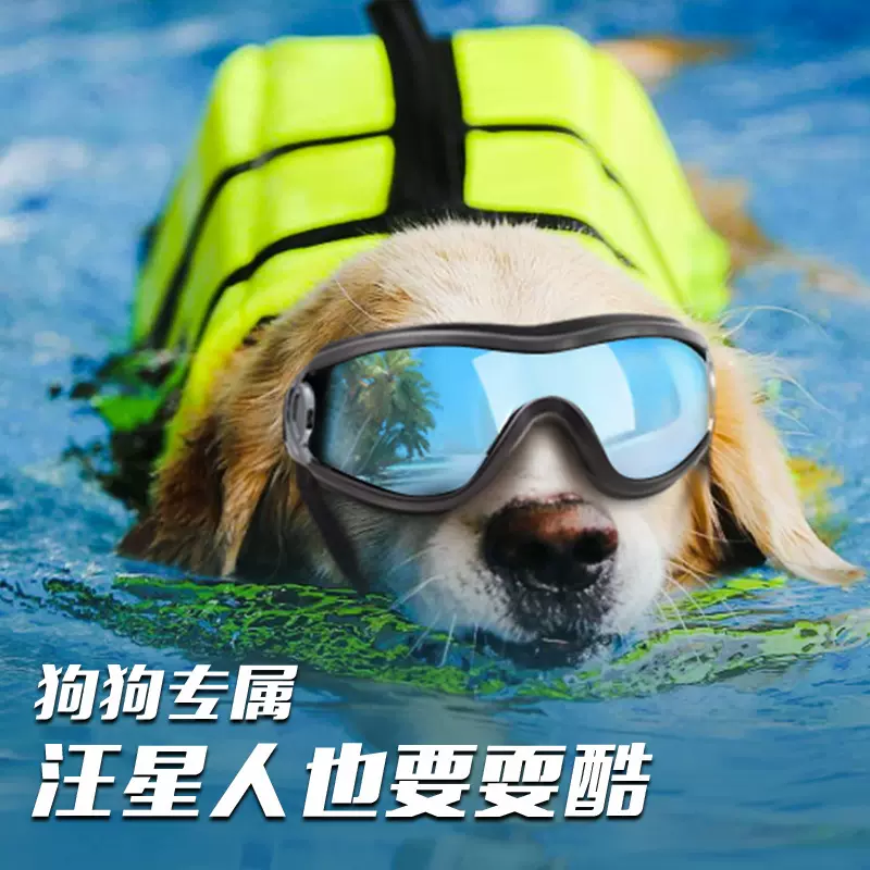 宠物眼镜护目镜防风沙防晒墨镜中大型狗狗太阳镜炫酷福仔同款配饰