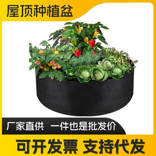 ���ͷN����ë�ֻ������߲�����Nֲ��Ӻ���ֲ���o�����Nֲ��