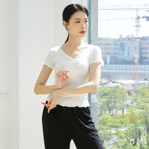Modern Dance Practice Wear for Women, Autumn Dance Costume, Chinese Classical Dance Training Shape Clothing, Modal V-Neck Top
