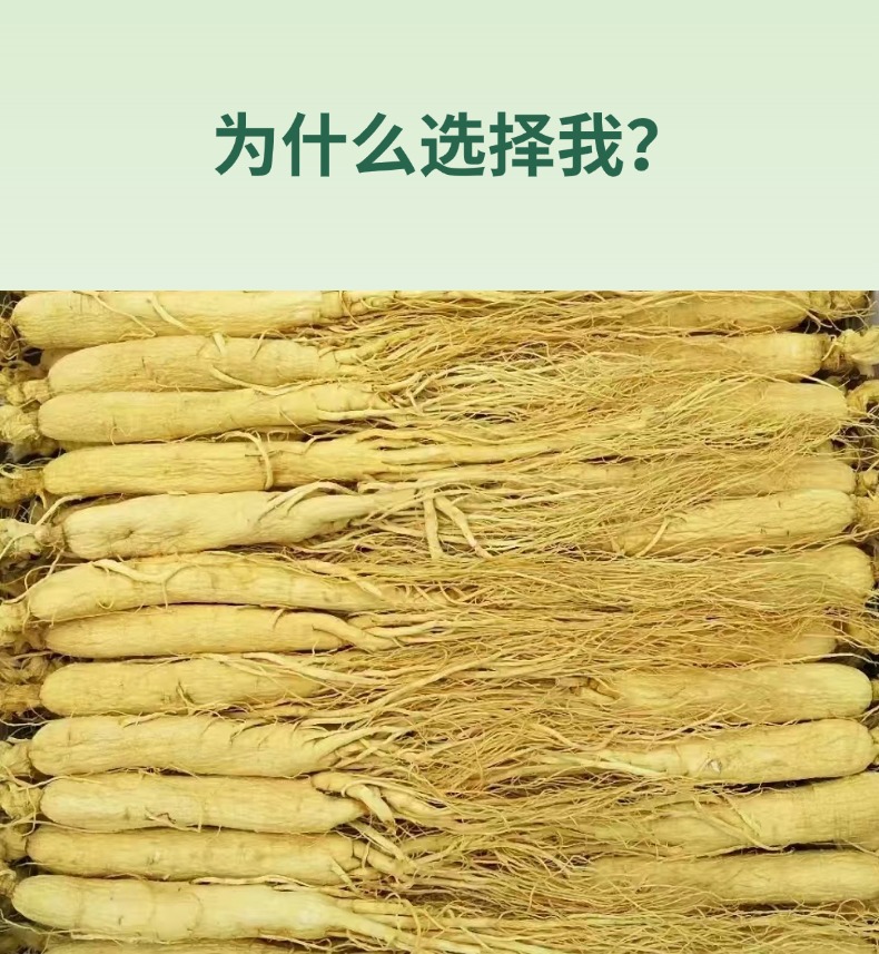 Dried Northeast White Ginseng Whole Roots Large Grade for Soup and Wine Making key features