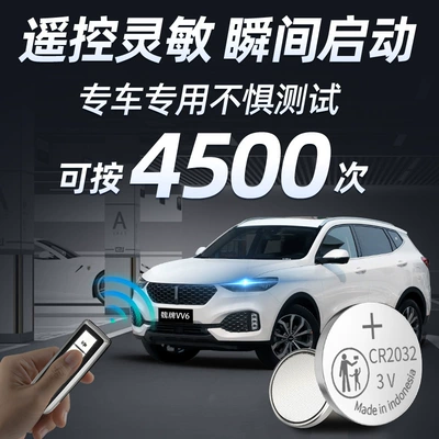 Wei brand VV6 key battery: Car Keys
