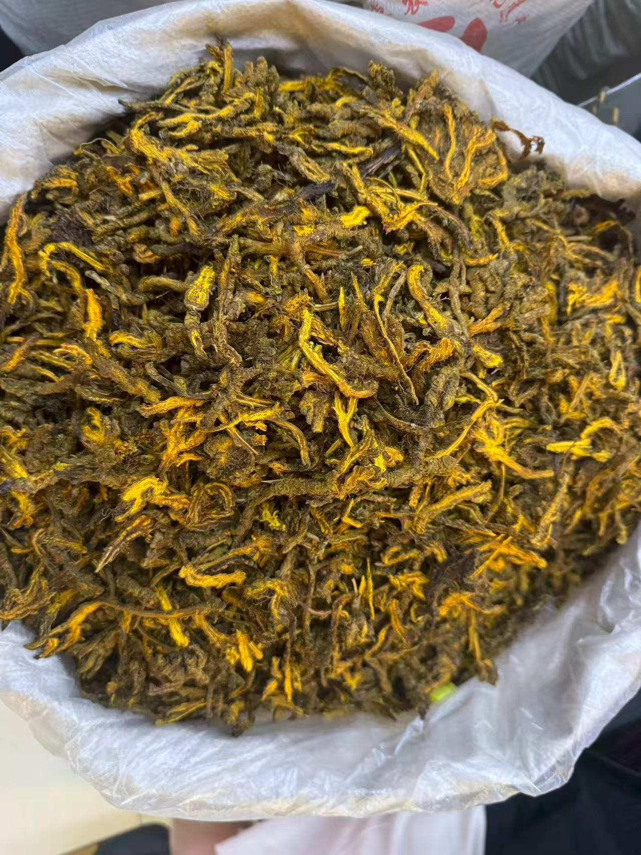 Sichuan Coptis Root Huang Lian Dried Chinese Herb Clean Raw Material 1000g Bag specifications