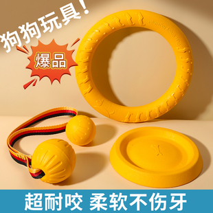 ������������Ȯ���ӈA�h�w�P�����h��ë߅��ĥ����ҧ�������