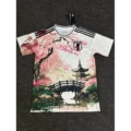 Japan 16