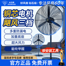�ʯ�ƹ��I��L������ȴ��ʼ��ó���ȩ�ڒ�ʽ��ʽ�u�^ţ����