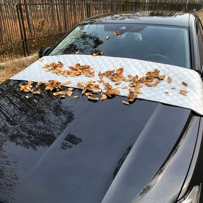 leaves, dust, bird droppings, and — Car snow shield