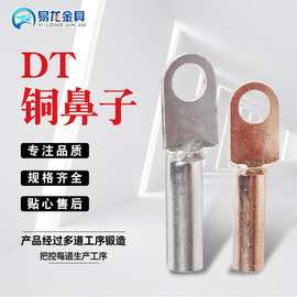 铜过渡接线鼻子DT系列10-300铜鼻子国标电缆接线耳冷压电缆金具ZT