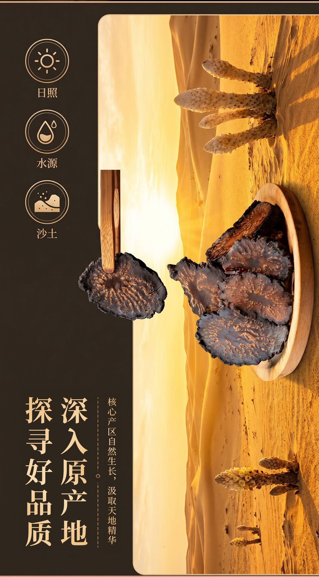 Cistanche Slices Rou Cong Rong Dried Herb for Decoction Tea and Soup 500g quality and texture