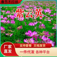 һ�����l���Ӣ�N�ӹ��@�G�ʲ������Ӣ�t������Դֲ���ϻ���ޣ��