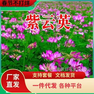 һ�����l���Ӣ�N�ӹ��@�G�ʲ������Ӣ�t������Դֲ���ϻ���ޣ��