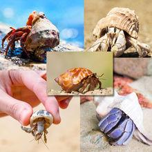 ����ؐ�����l�ľ�з����ؐ�~��Q����ֳ�~���쾰ˮ�����b����b