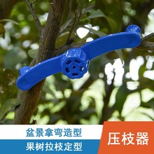 ��֦�����������辰�Ï��������͹��߄e֦��֦�l�̶����@ˇ��֦��