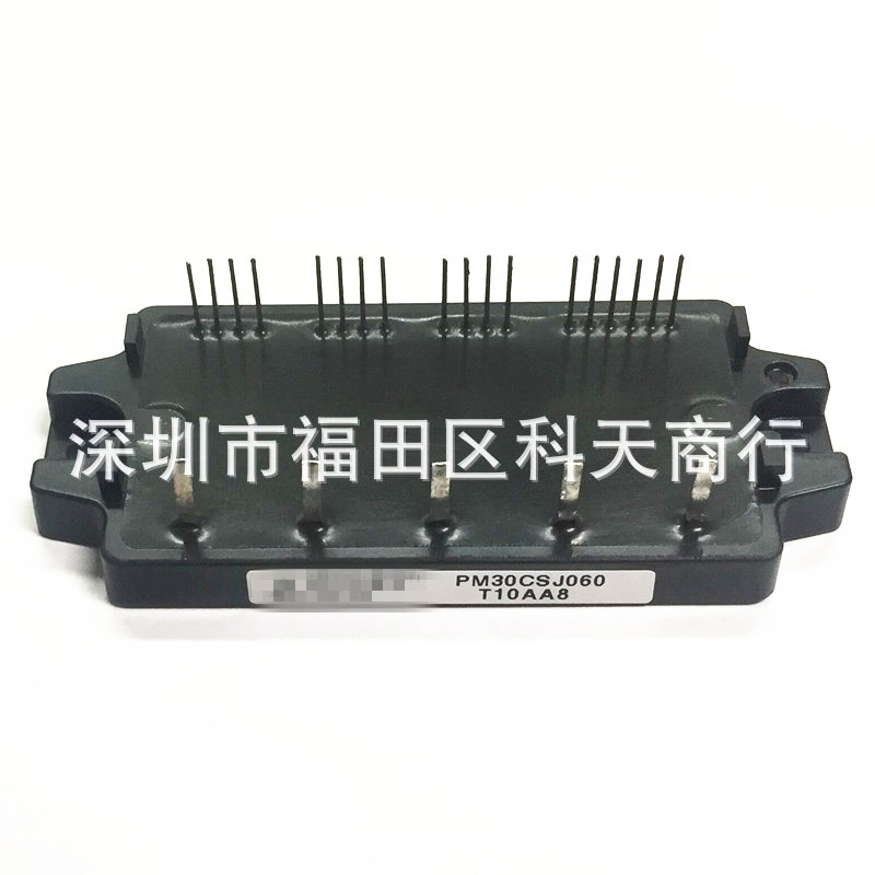 全新 PM30CSJ060 PM20CSJ060 PM10CSJ060 现货 模块 MODULE 可询
