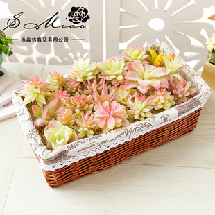 012ֲ�q��ɫϵ�ж���ֲ���DIY��Ʒ������ϻ����l���컨��