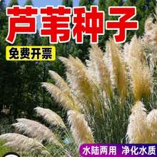 �JȔ�N���JȔ�ݷN���ͺ��������޸����у���ˮ�|�����o�����ݷN��