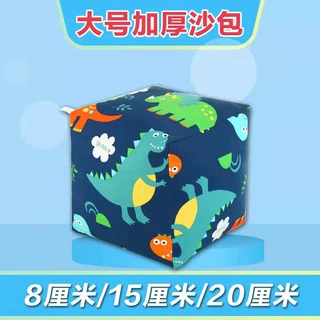 定制儿童大号丟沙包幼儿园沙包亲子游戏荞麦皮棉花厘米定做大尺寸