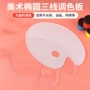 三线上色大号椭圆水粉