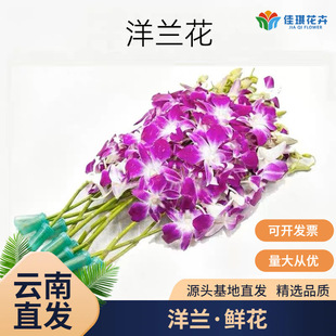 ���r���m�r�����l̩�����m�r�л���ͥˮ�Bƿ�廨��������b�